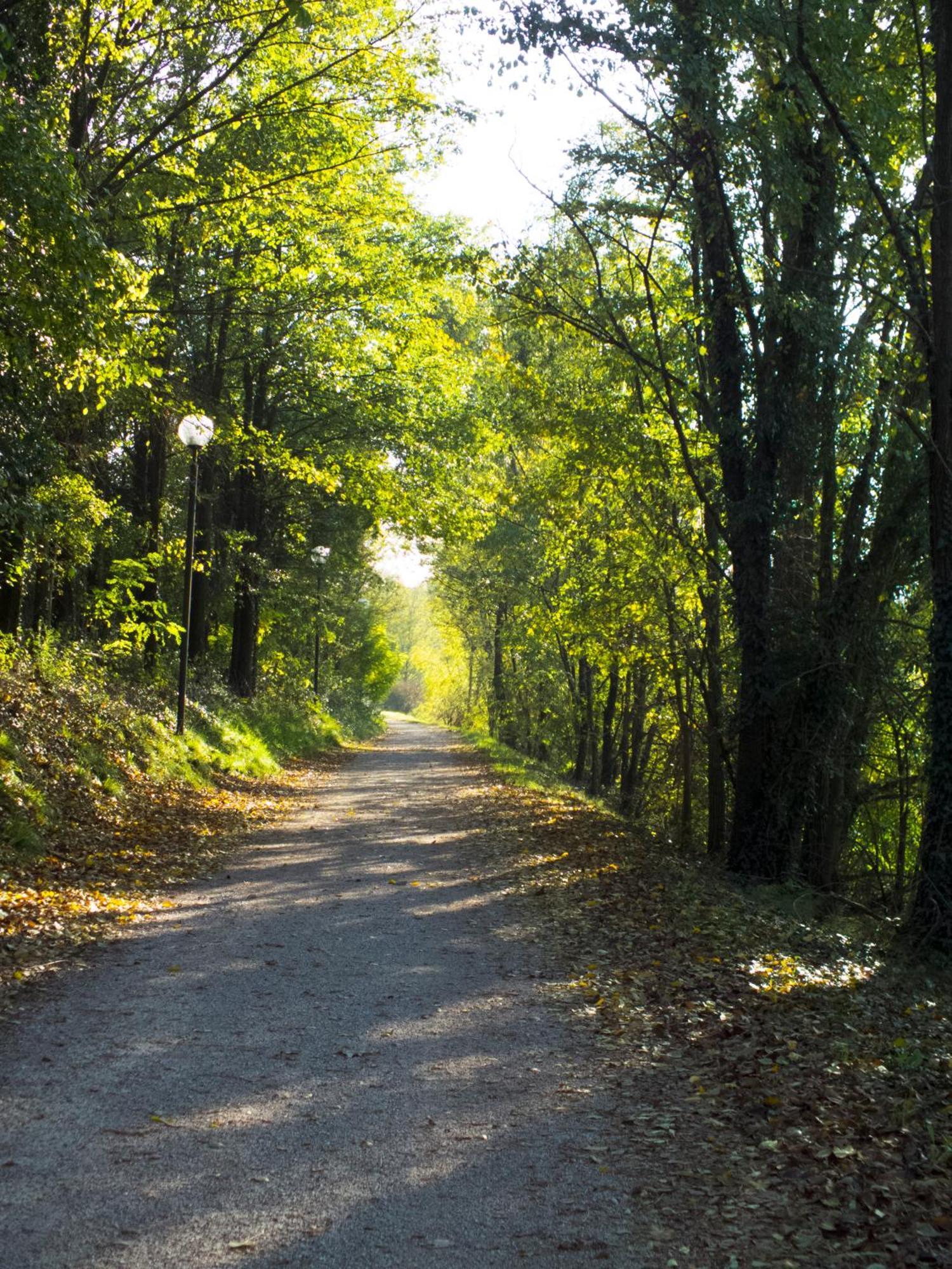 Agriturismo I 9 Filari Limena Zewnętrze zdjęcie